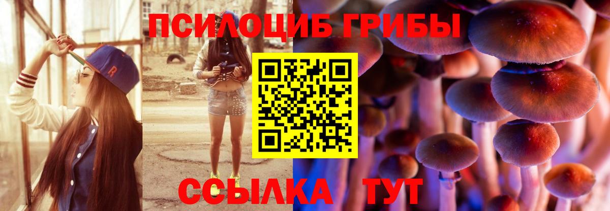 Псилоцибиновые грибы Magic Shrooms  Галлюциногенные грибы мицелий  Вход с VPN  Чайковский 