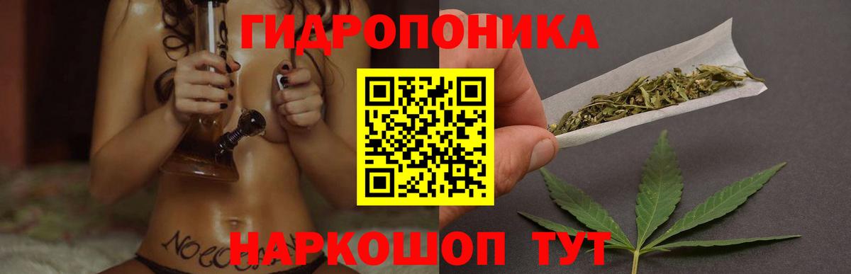 МАРИХУАНА семена Чайковский